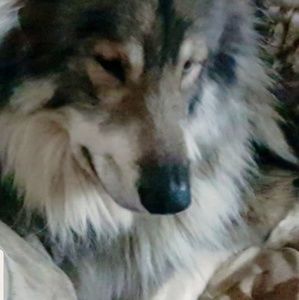 Meet your Posher, Rick